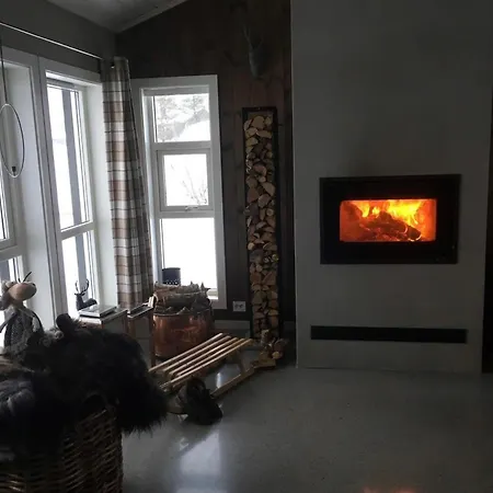 Aasenfeltet *